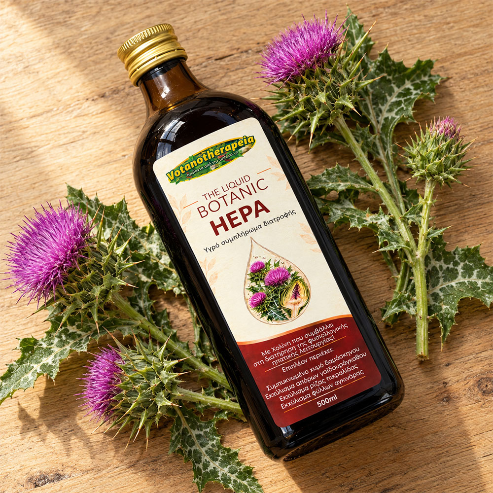 Supplement with Choline and Dandelion