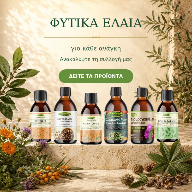Φωτογραφία από 