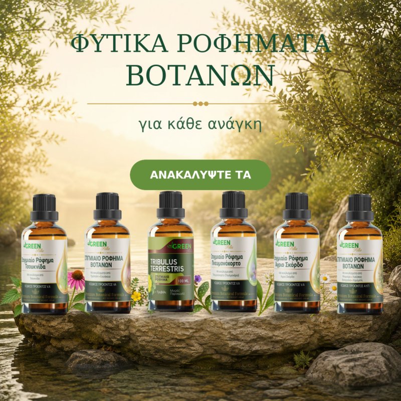 Φωτογραφία από 